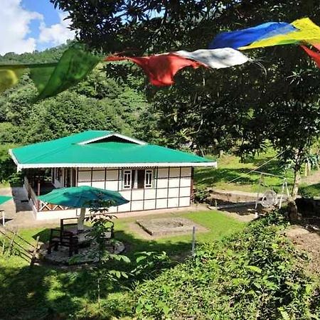 The Nettle And Fern Farmstay 펠링 외부 사진