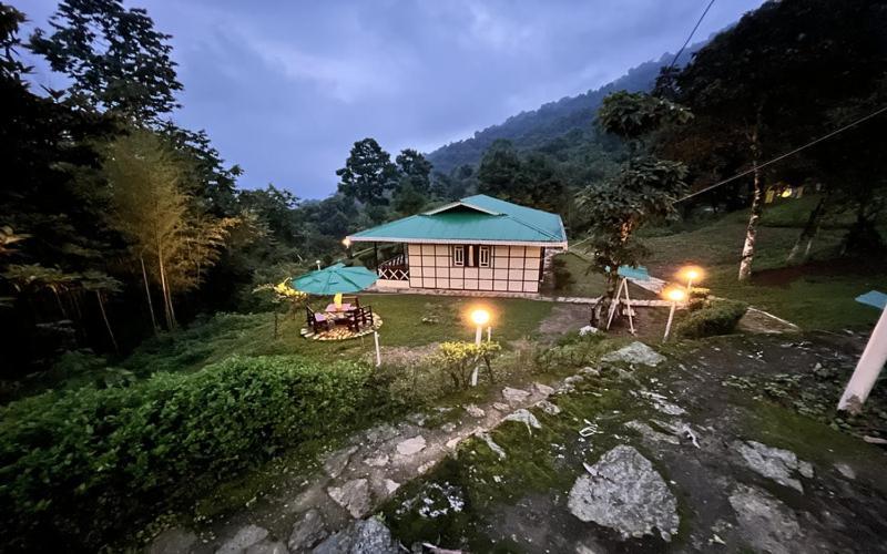 The Nettle And Fern Farmstay 펠링 외부 사진