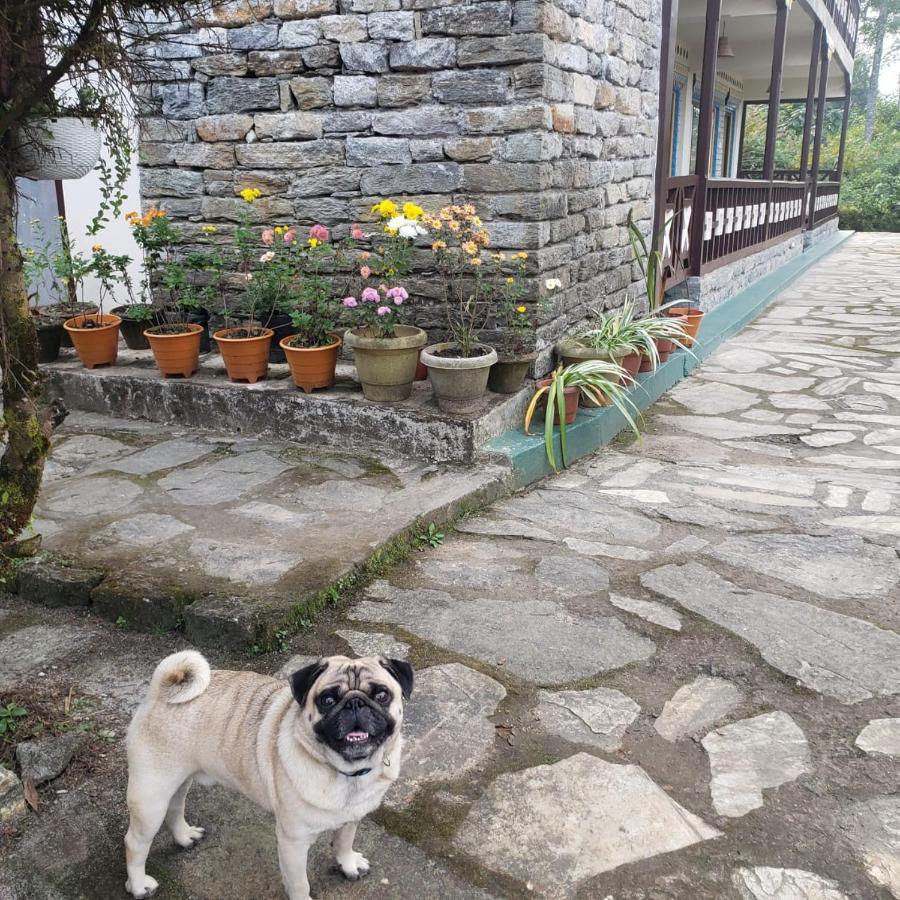 The Nettle And Fern Farmstay 펠링 외부 사진