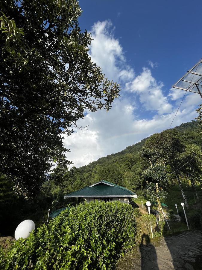The Nettle And Fern Farmstay 펠링 외부 사진
