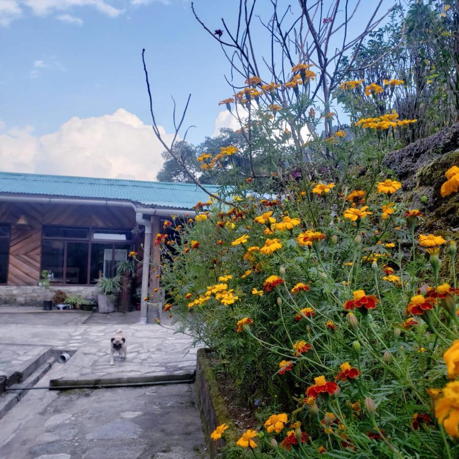 The Nettle And Fern Farmstay 펠링 외부 사진