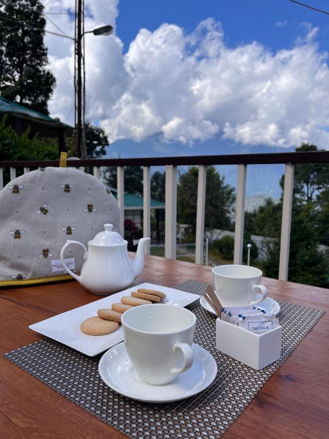 The Nettle And Fern Farmstay 펠링 외부 사진