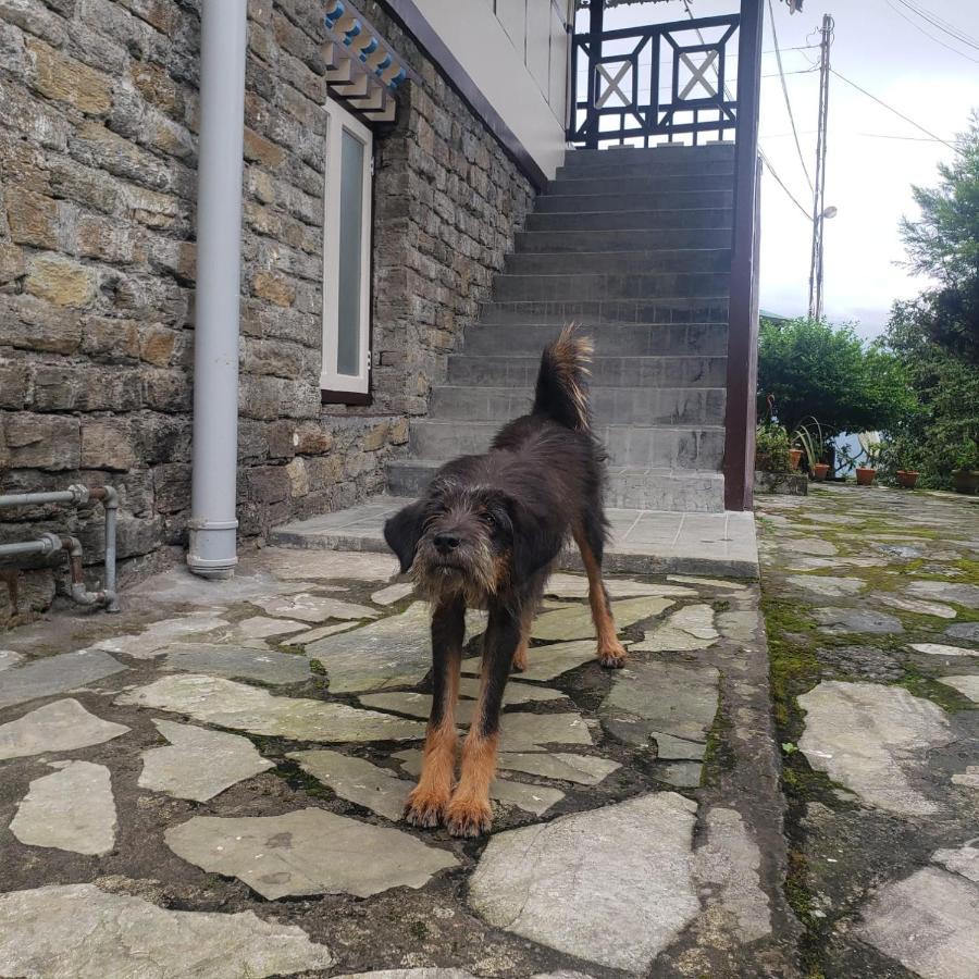 The Nettle And Fern Farmstay 펠링 외부 사진